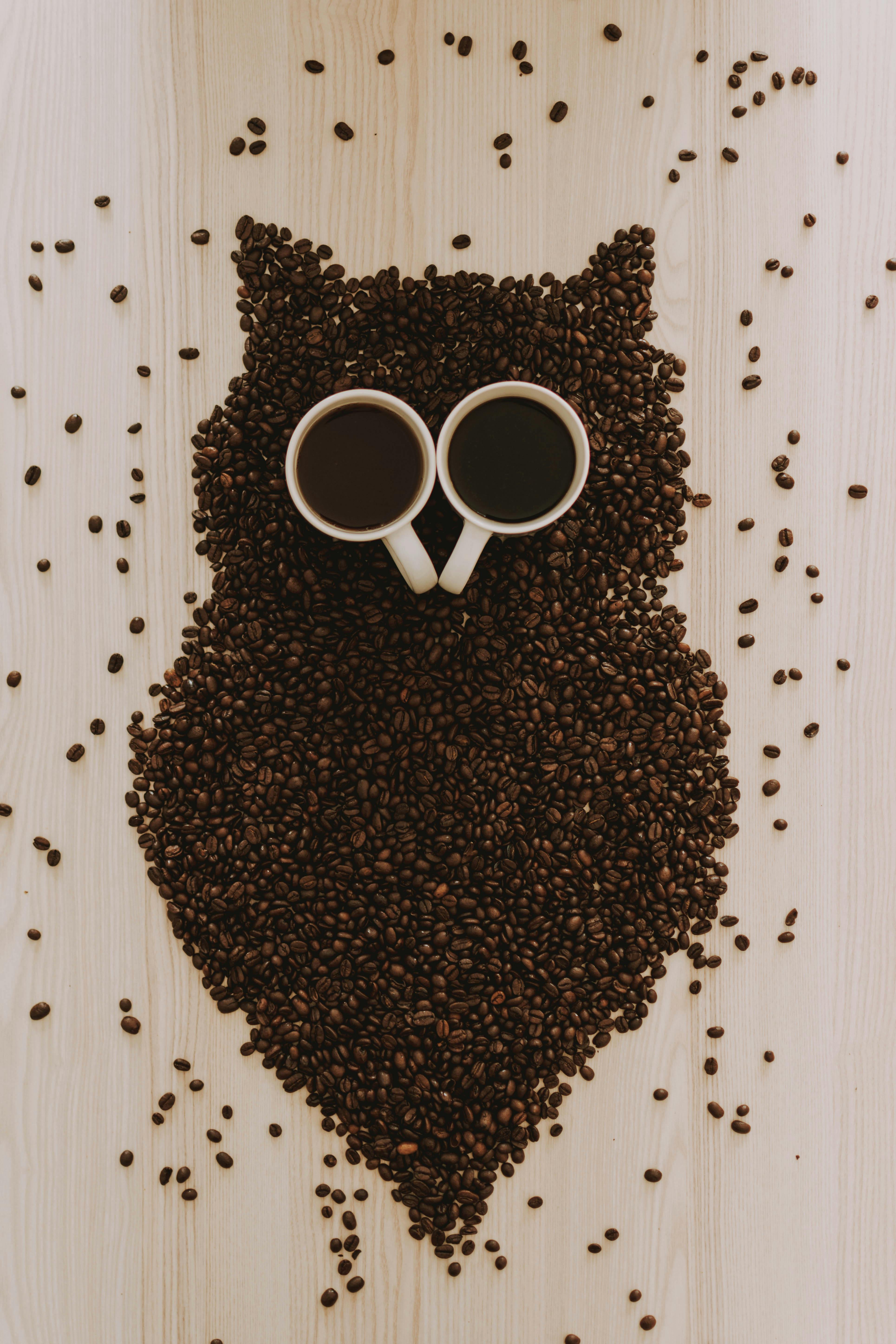 an owl formed from coffee beans with coffee mugs for eyes